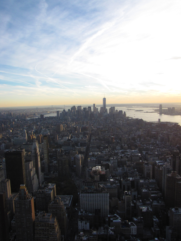Empire state view 1